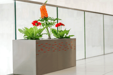 Plant Displays & Containers