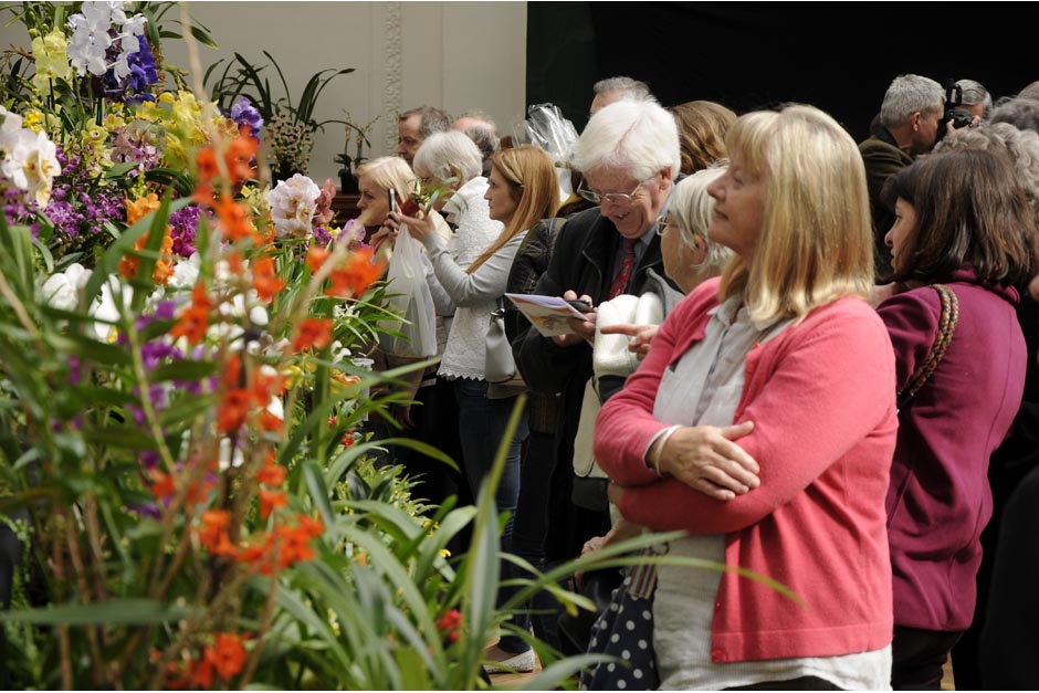 RHS London Spring Plant Extravaganza