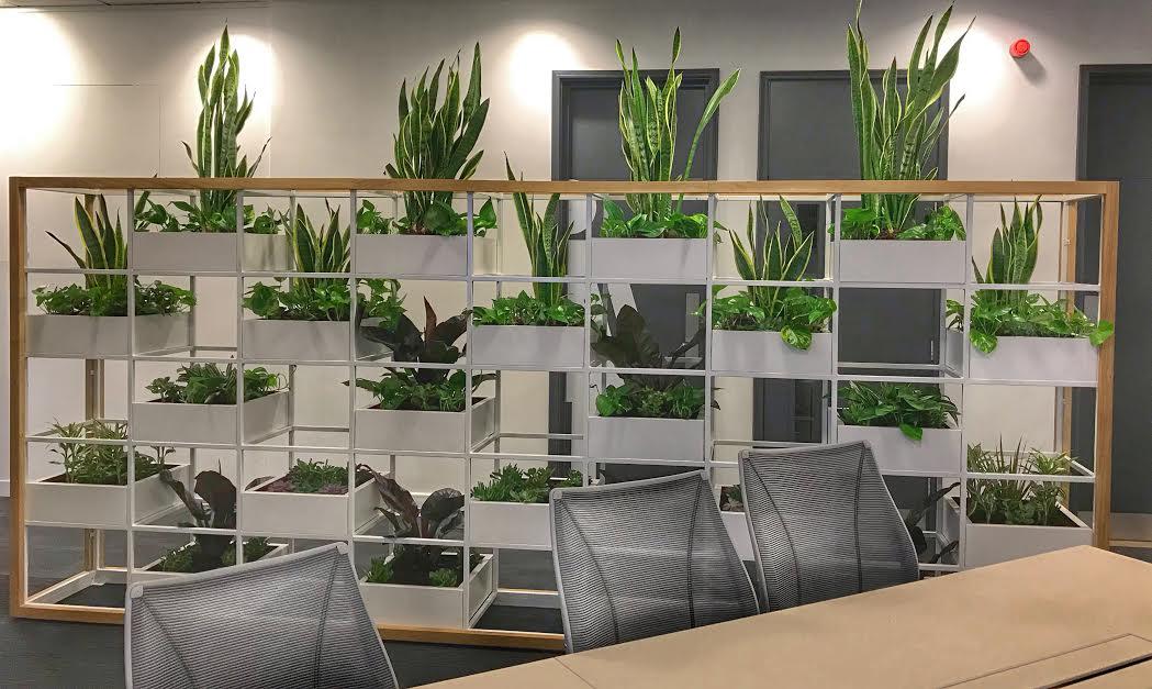 Urban Gardening: Bespoke Living Wall Dividers