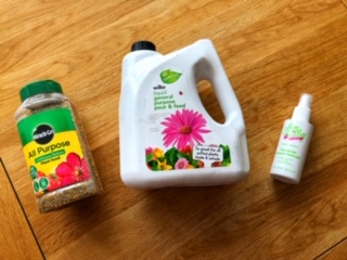 Caring for your indoor Plants (Free tips and an plant hacks by professional urban gardeners)